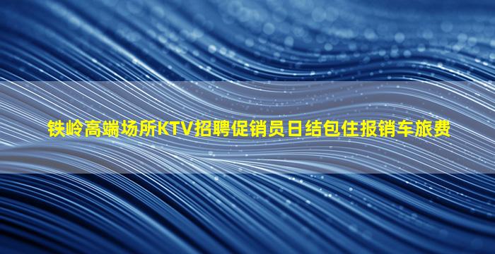 铁岭高端场所KTV招聘促销员日结包住报销车旅费